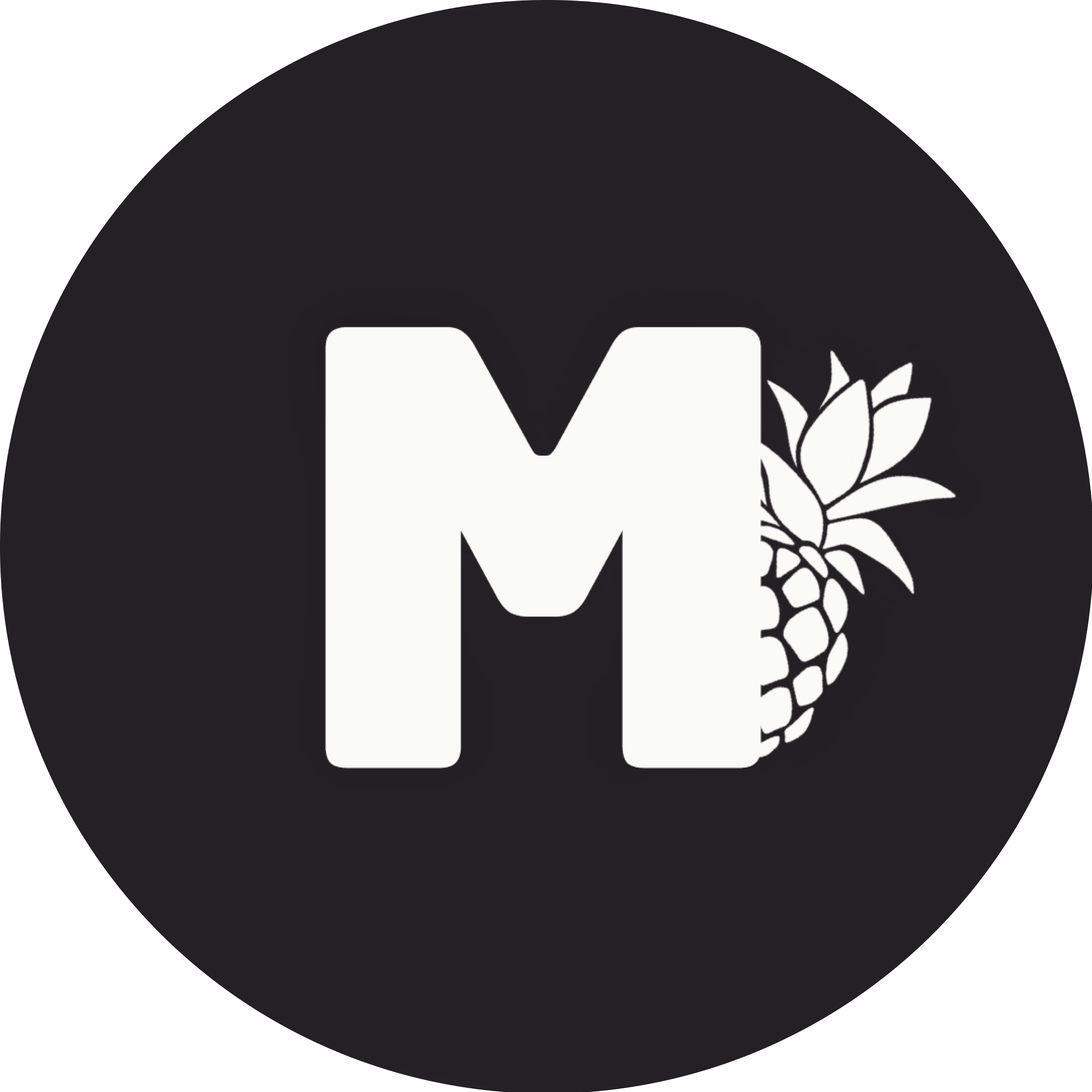 matifruti logo
