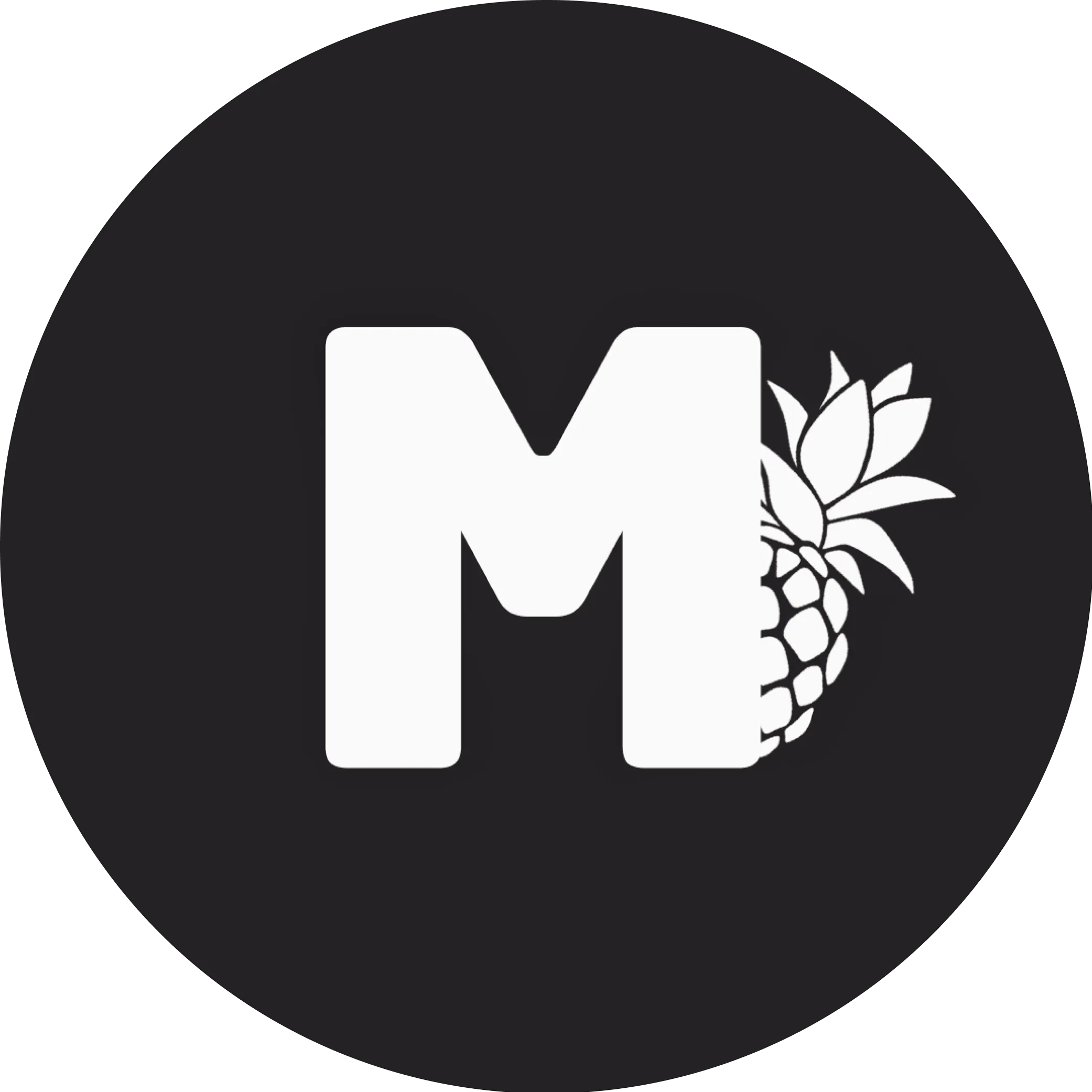 matifruti logo